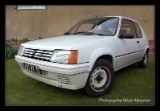 Peugeot 1L3 Rallye.DNG